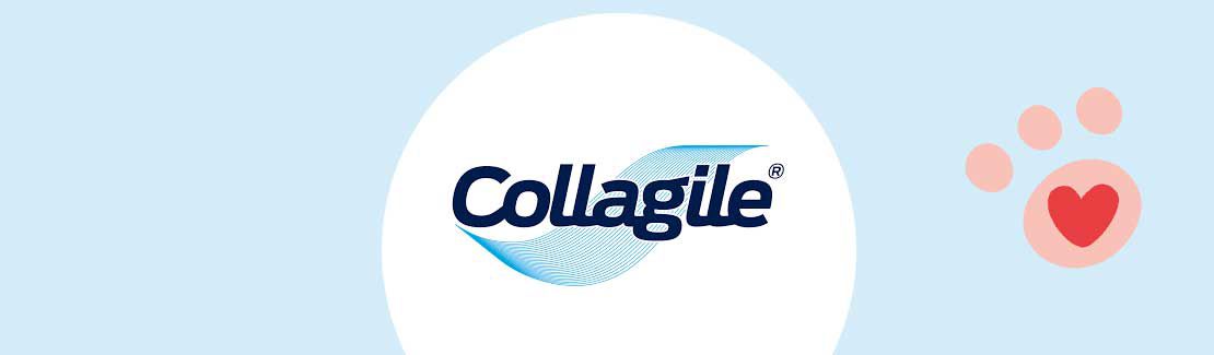 Collagile GmbH