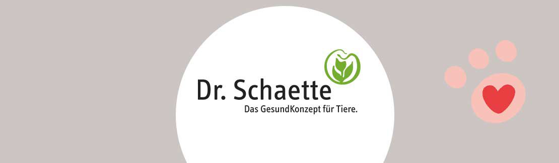 Dr. Schaette