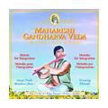 Maharishi CD Amar Nath Bambusflöte Integration 19-22h