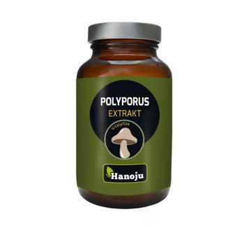 POLYPORUS PILZ Extrakt 400 mg Tabletten