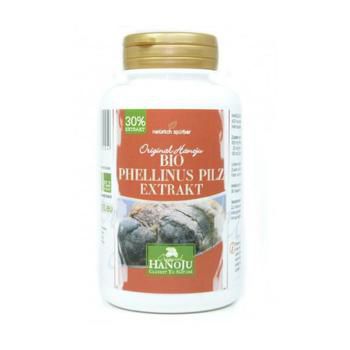 BIO PHELLINUS Pilz Extrakt 320 mg Kapseln