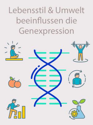 Was ist nochmal Epigenetik?