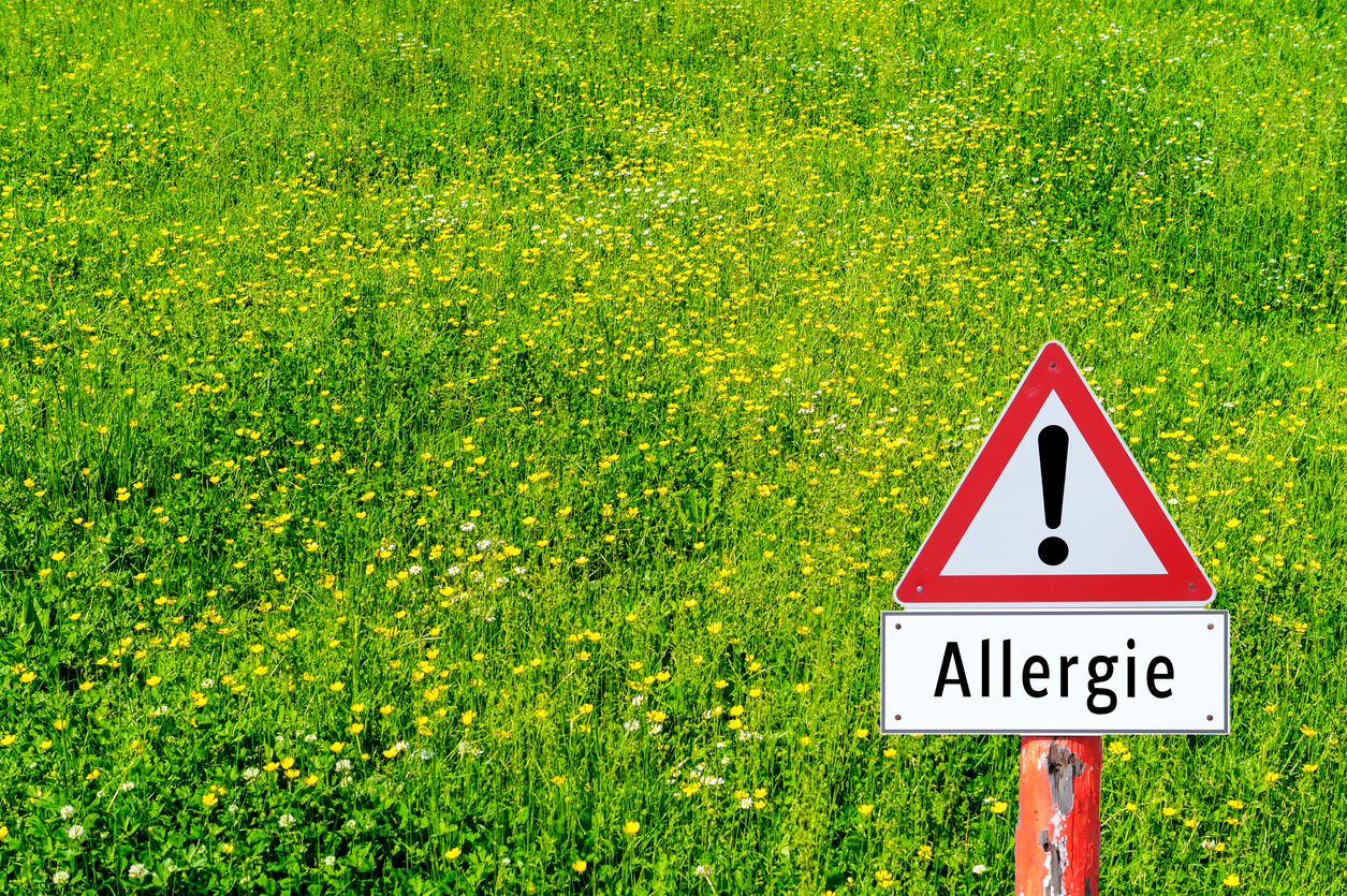 Allergene Pollen: Welche gibt es?