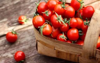 Auch gegen Tomaten kann man eine Kreuzallergie entwickeln