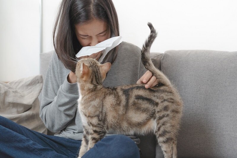 Frau mit Tierhaarallergie reagiert allergisch auf eine Katze